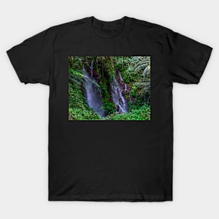 mini falls T-Shirt